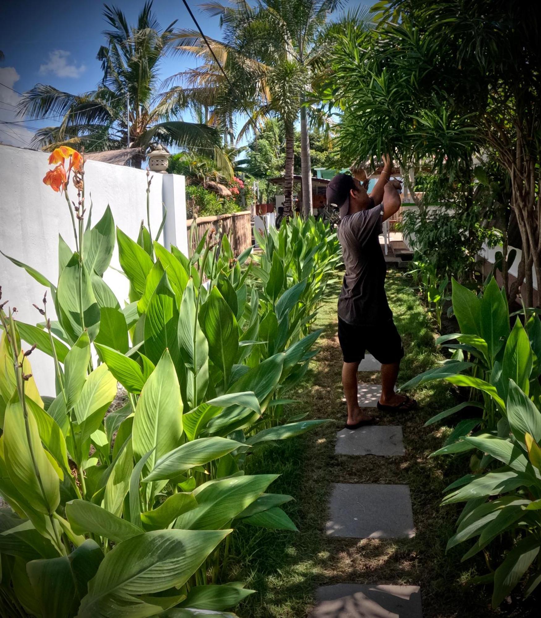 Kaktus 2 * Gili Air